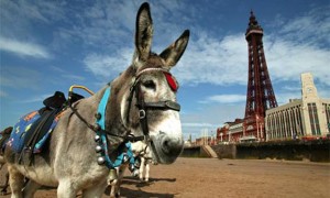 Blackpool Donkey
